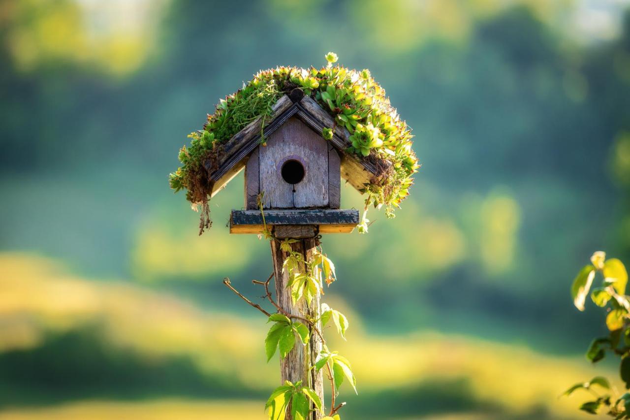 Farmstay Kotic 슬루니 외부 사진